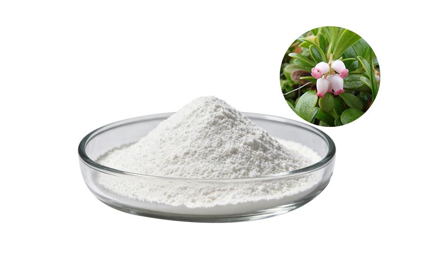 Bearberry Leaf Extract